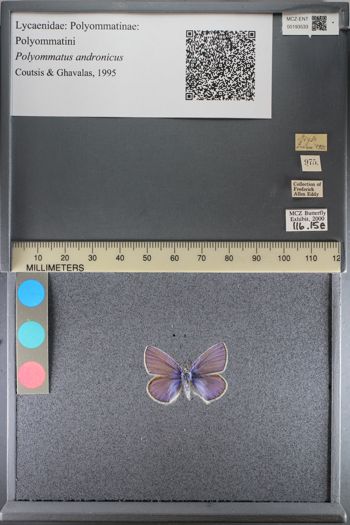 Media type: image;   Entomology 193533